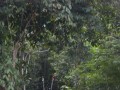 Tn DSC 4143